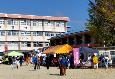 IMG20251116111323_20251116202938トリミング