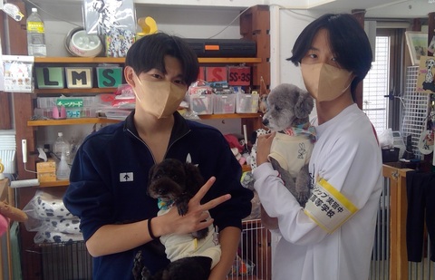 26WIN_20260128_14_07_24_Pro